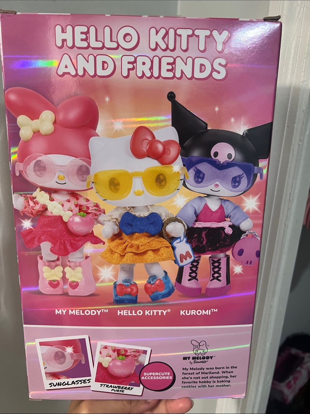 MY MELODY ๐ ~ HELLO KITTY AND FRIENDS - Picture 4 of 4